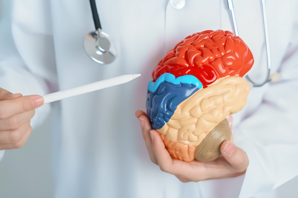 Neuropsychological Testing (Add-On)
